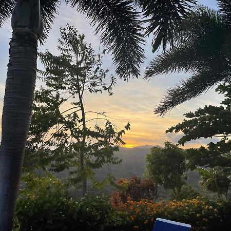 Hawk'S Nest Bed & Breakfast La Laguna de San Carlos Exterior photo