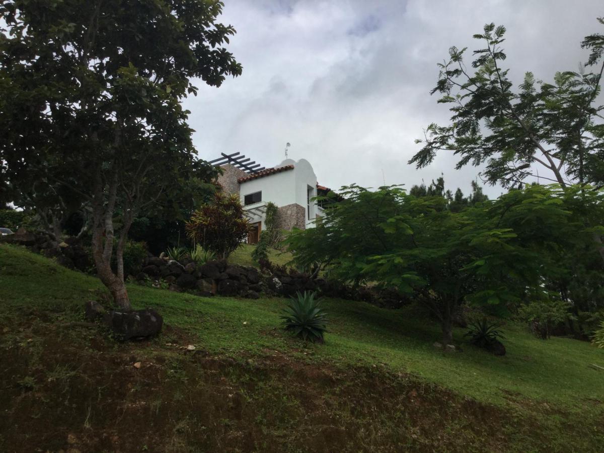 Hawk'S Nest Bed & Breakfast La Laguna de San Carlos Exterior photo