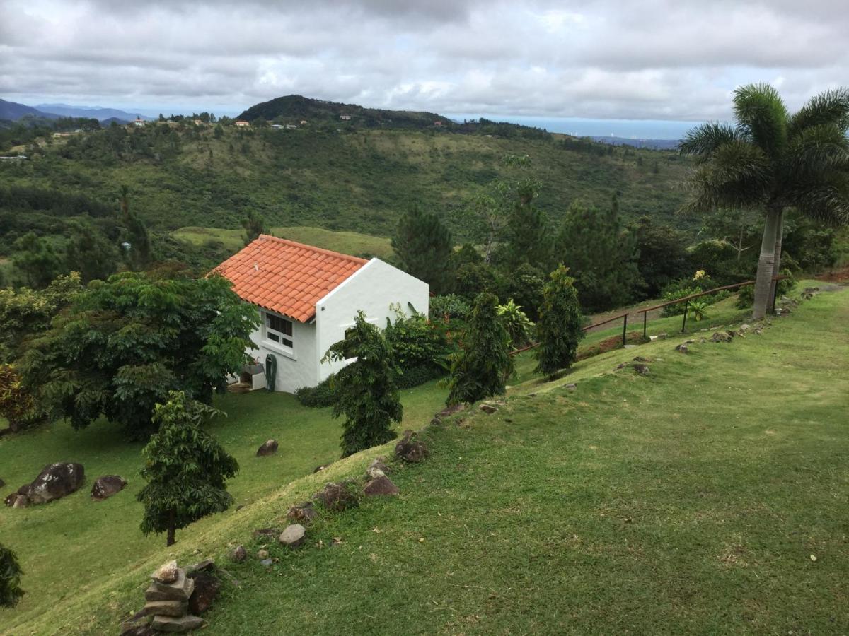 Hawk'S Nest Bed & Breakfast La Laguna de San Carlos Exterior photo