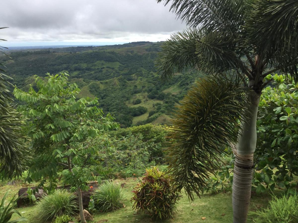 Hawk'S Nest Bed & Breakfast La Laguna de San Carlos Exterior photo