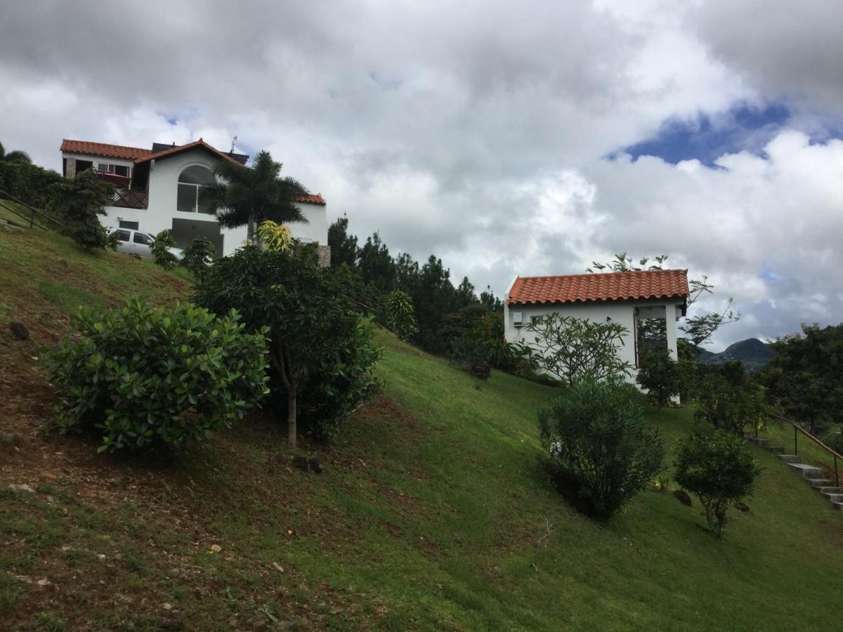 Hawk'S Nest Bed & Breakfast La Laguna de San Carlos Exterior photo
