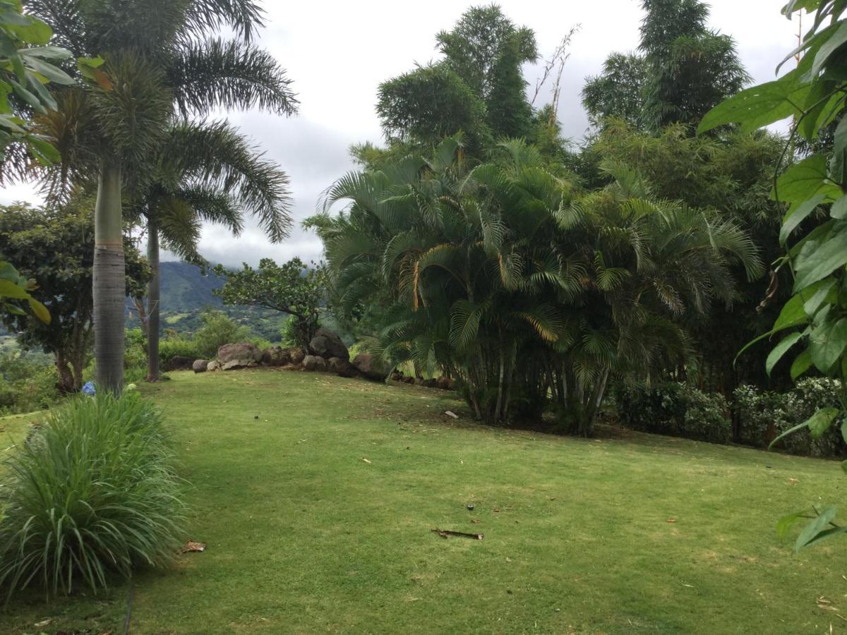 Hawk'S Nest Bed & Breakfast La Laguna de San Carlos Exterior photo