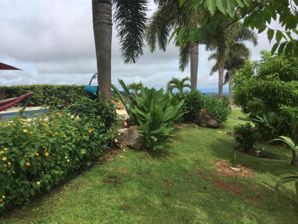 Hawk'S Nest Bed & Breakfast La Laguna de San Carlos Exterior photo