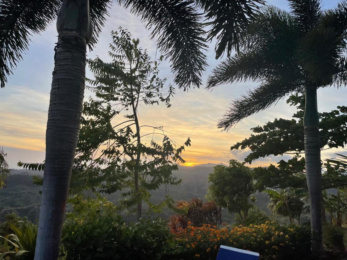 Hawk'S Nest Bed & Breakfast La Laguna de San Carlos Exterior photo