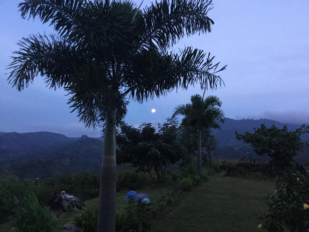 Hawk'S Nest Bed & Breakfast La Laguna de San Carlos Exterior photo