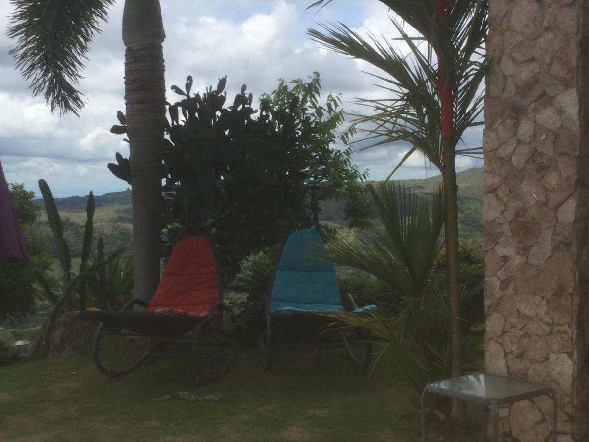 Hawk'S Nest Bed & Breakfast La Laguna de San Carlos Exterior photo