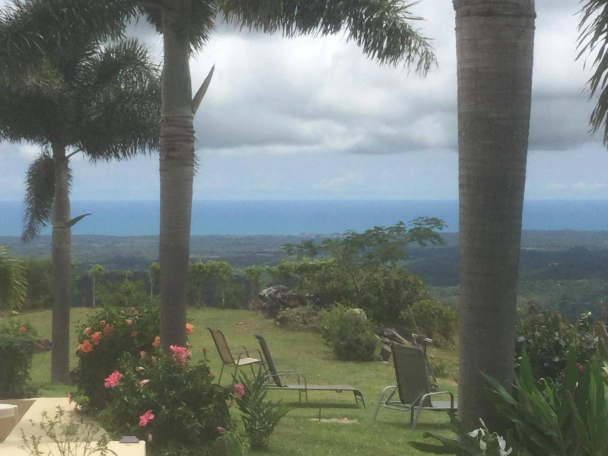 Hawk'S Nest Bed & Breakfast La Laguna de San Carlos Exterior photo
