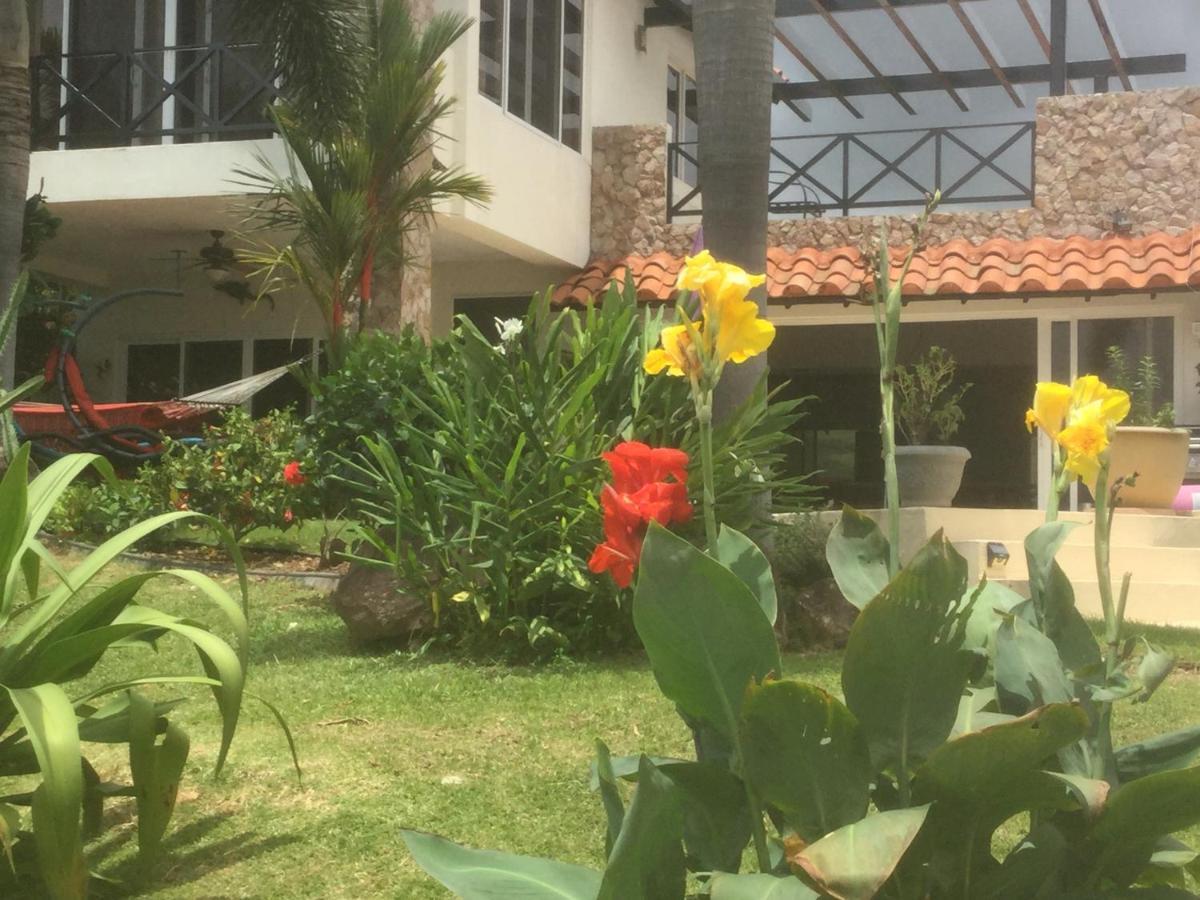 Hawk'S Nest Bed & Breakfast La Laguna de San Carlos Exterior photo